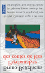 bettelheim-psychanalyse_des_contes_de_fee