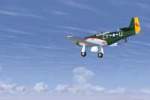 p51d